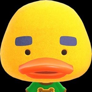 Meet your Posher, Irene